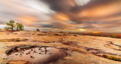 view from the top of arabia mountain at dusk