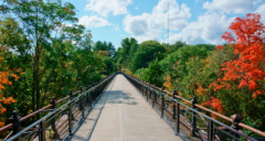 a bridge flanked by autumn leaves in newton