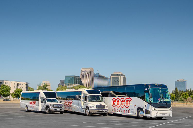 Multiple types of charter buses parked in a row