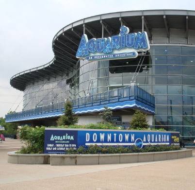 Denver Downtown Aquarium