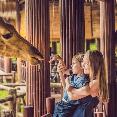 Denver Zoo