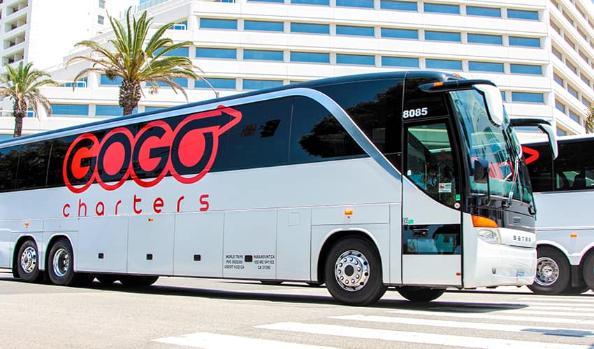 A branded charter bus with with the GOGO Charters logo drives down a street